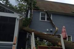 Tree Hits House in Severna Park